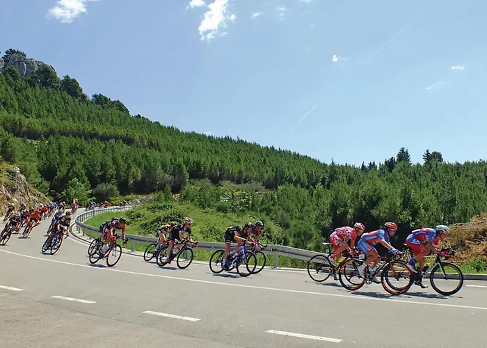 Lovely In With View *